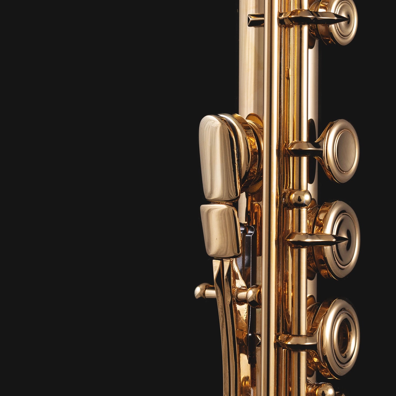Concerto for Solo Flute, Strings, & Percussion – John Williams