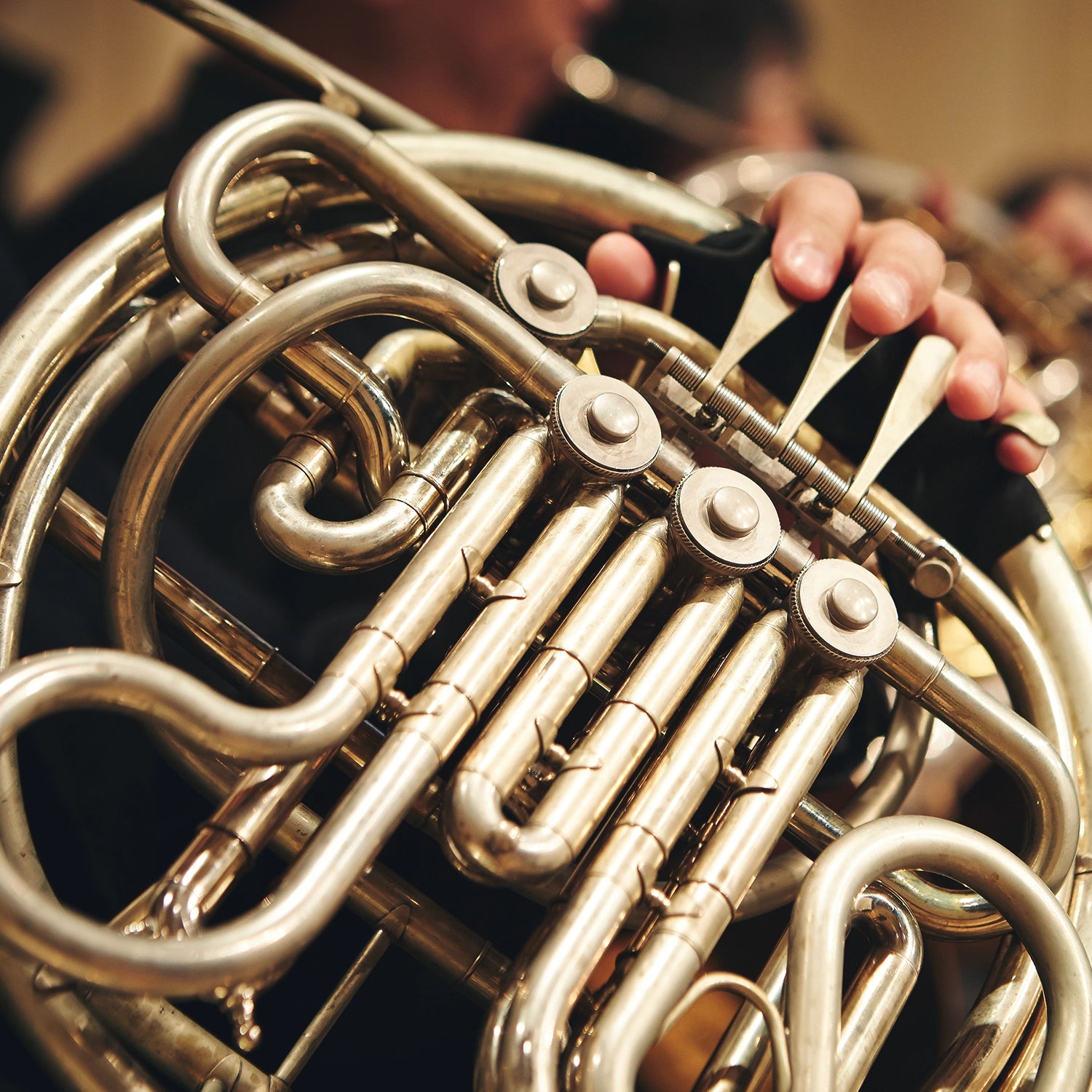 Concerto for Horn & Orchestra