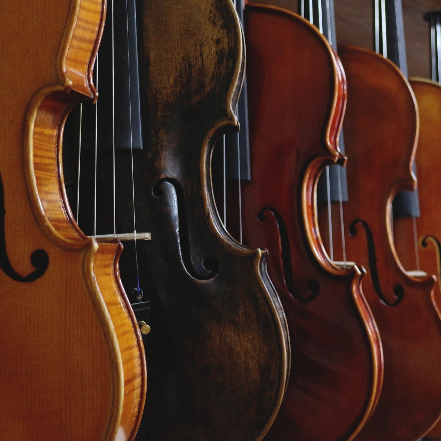 Essay for Strings
