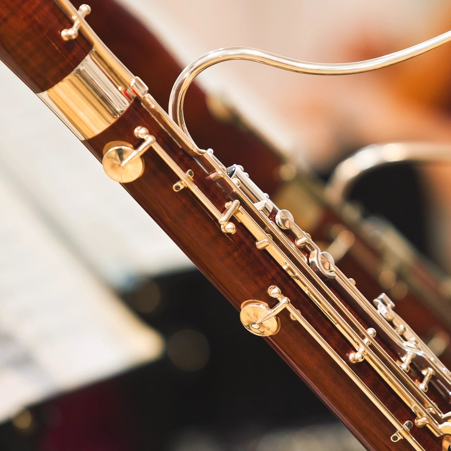 Five Sacred Trees (Concerto for Bassoon & Orchestra)