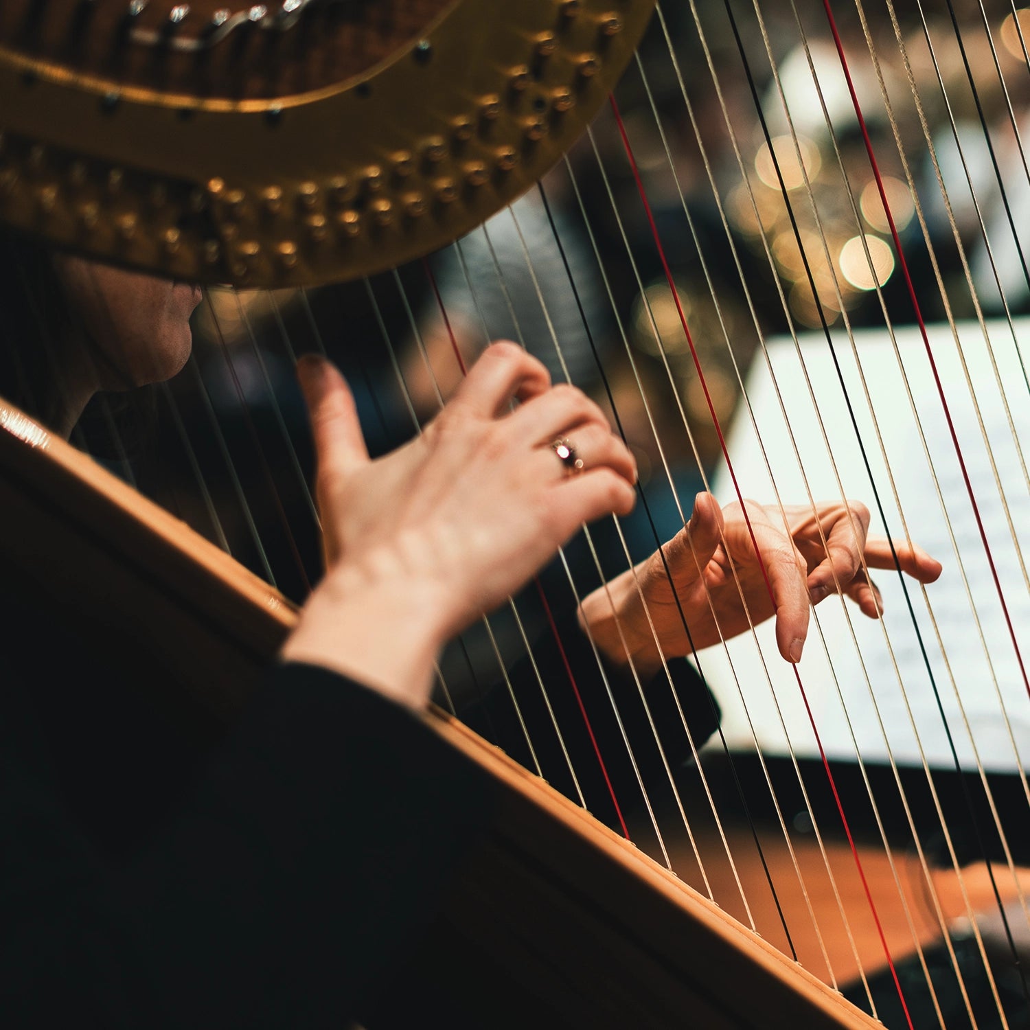 On Willows and Birches (Concerto for Harp)